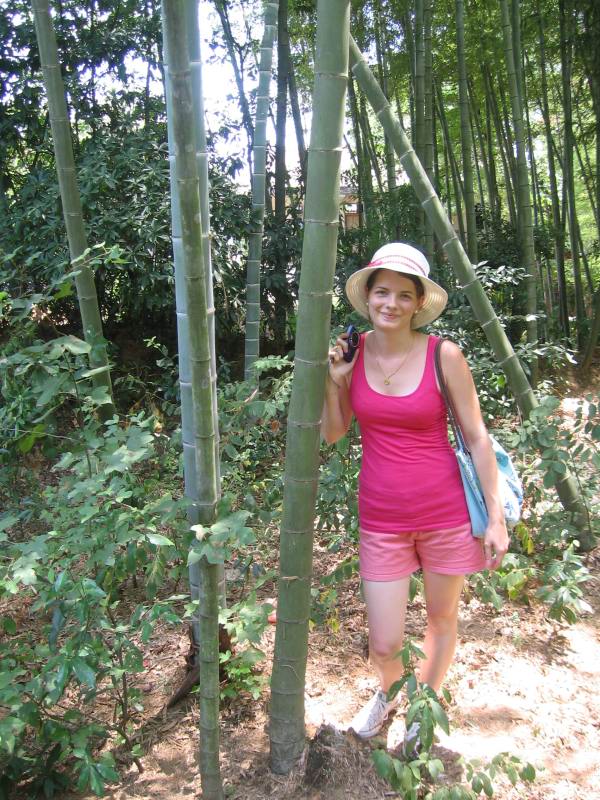 Jiangxi foret de bambou