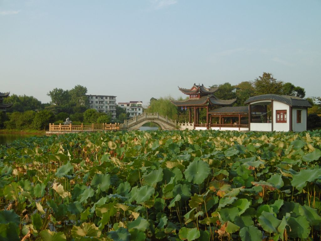 Yujiang