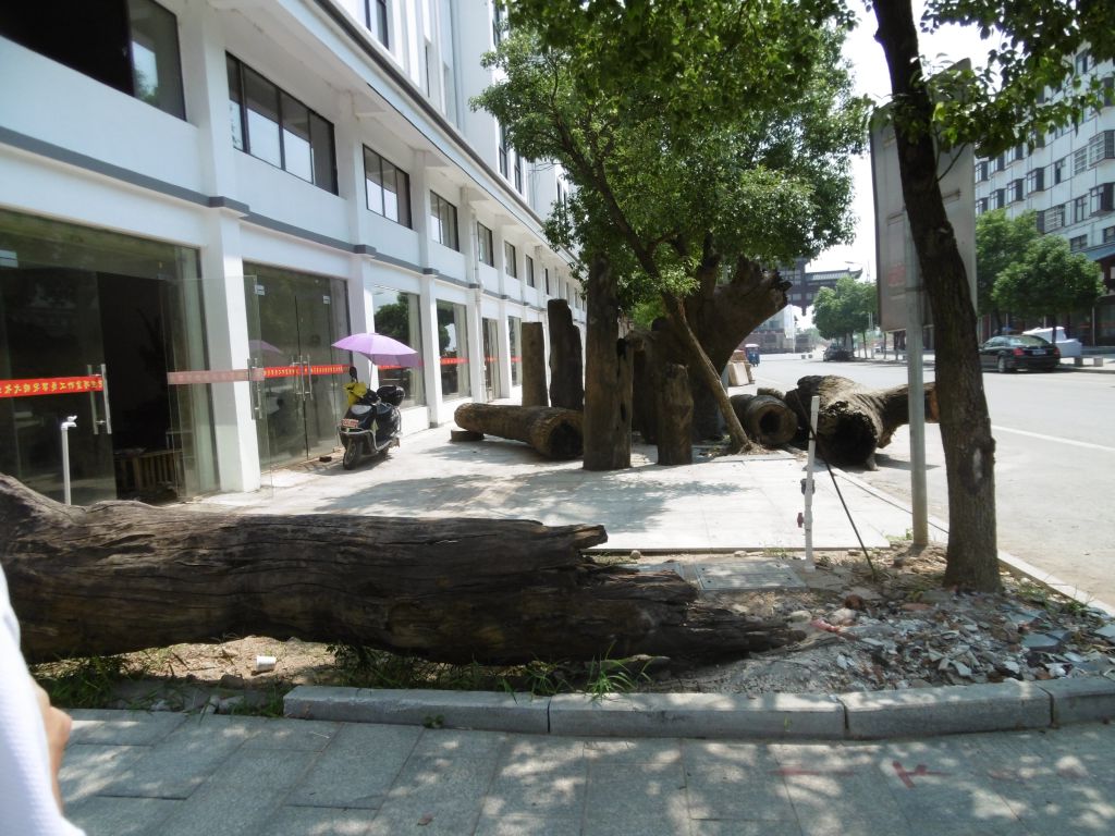 rue de la sculpture sur bois