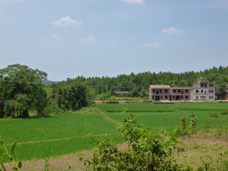 Jiangxi riziere