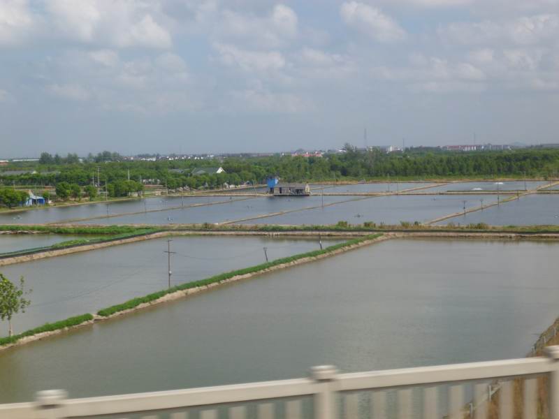 Train Shanghi -Yingtan (terminus Changsha )
