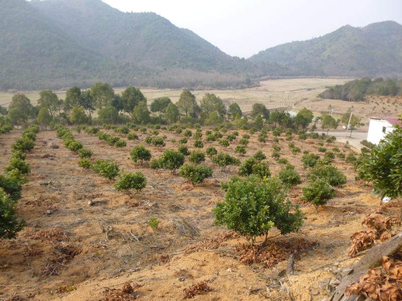 paysage campagne yujiang