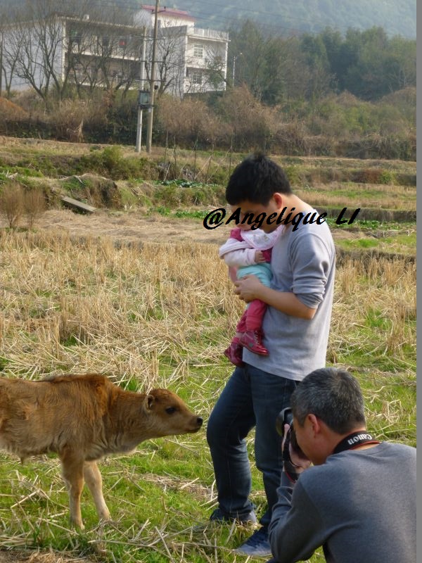 paysage campagne yujiang