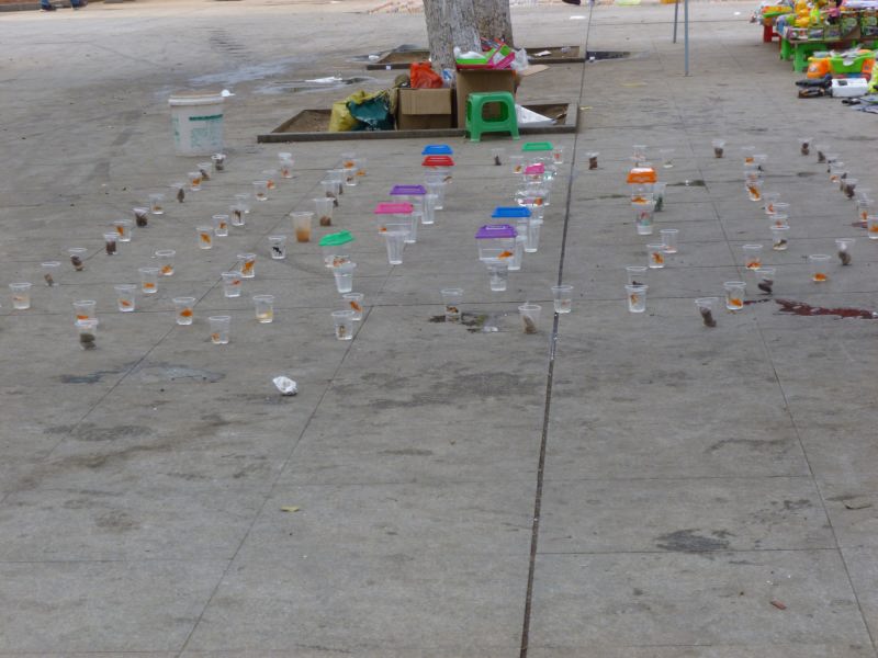 jeux pour enfant
