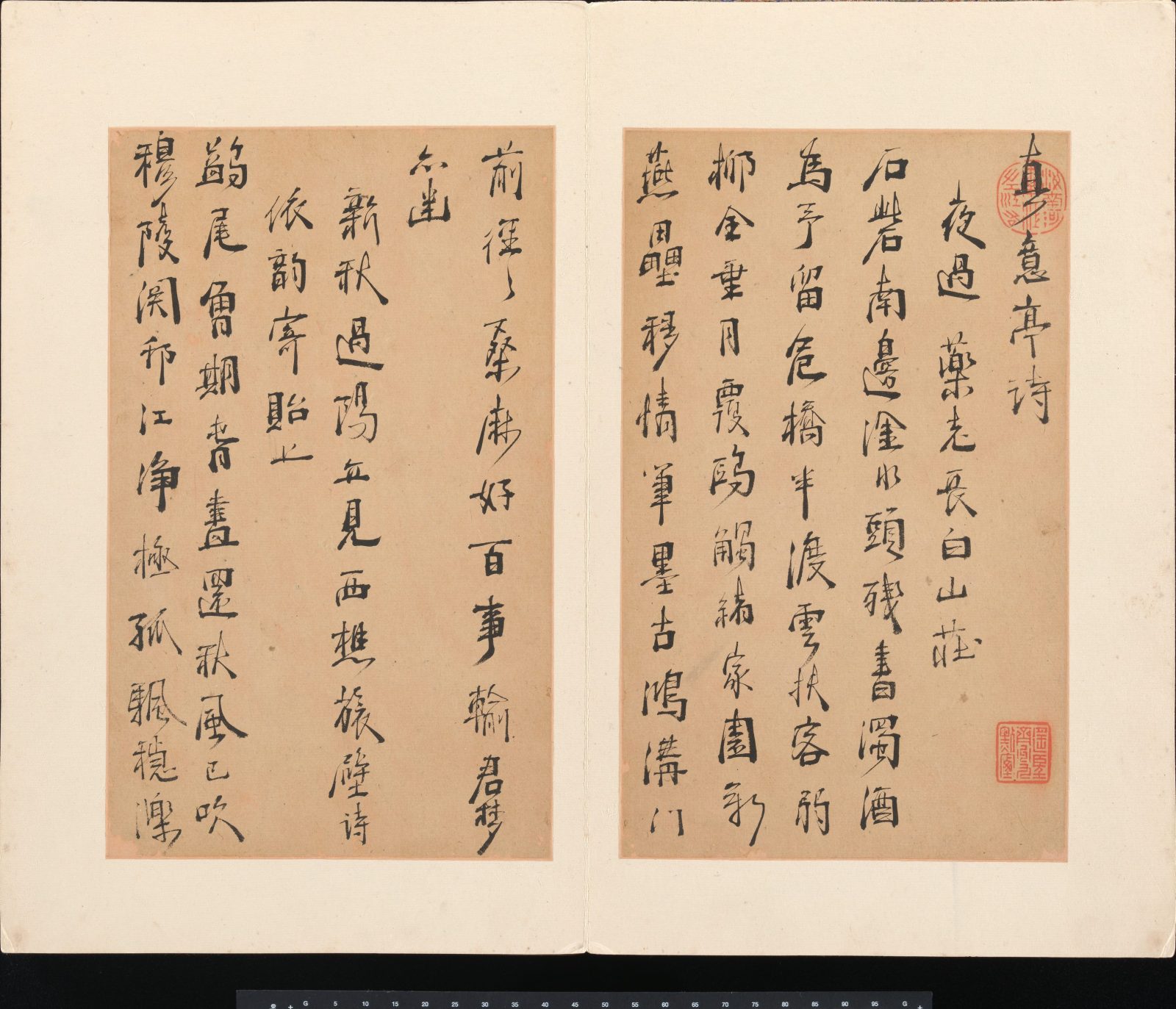 Section de « Poems from the Pavilion of True Meaning », Zhou Lianggong, feuille d’album, Chine, dynastie des Qing (1644–1911)