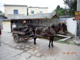 Pérégrination dans le Yunnan septembre 2012