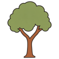 Flat drawing of a whole tree: a reddish-brown trunk rising straight and then forking into two thick branches, under one single mass of olive-green foliage with a bumpy outline. The foot of the trunk flares into two short roots. No ground, no birds.