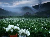 Yangmingshan