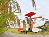 Un agriculteur utilise une machine agricole pour récolter du riz dans le bourg de Baita du district de Xianju