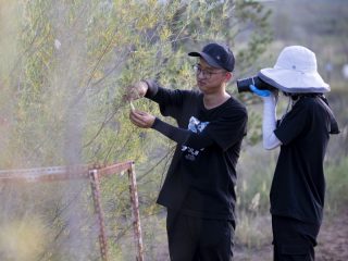 Des chercheurs de l'Université de sylviculture de Beijing observent des plantes dans le désert