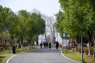 Des gens visitent le parc national de zones humides du lac Houguan dans la cité de démonstration écologique sino-française à Wuhan
