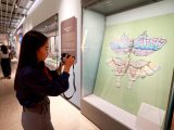 "L'harmonie crée la beauté : une exposition d'art sur la civilisation chinoise antique" au Kirghizistan