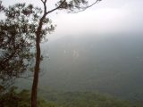 Collines de Xin-Hui, Jiangmen, Guangdong, été 2005
