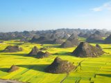Luoping (Yunnan)