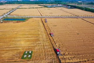 Photo aérienne de moissonneuses récoltant du blé dans des champs du bourg de Suntiepu du district de Guangshan