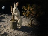 Peinture : un lièvre blanc dressé sur ses pattes arrière tient à deux pattes un long pilon de bois planté dans un mortier de pierre où reposent de petites fleurs jaunes. Il se tient sur le sol gris et crevassé de la Lune, éclairé de biais, son ombre portée en travers des roches. À sa droite, un osmanthe en fleur ; au loin dans le ciel noir, la Terre bleue.