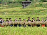 Des villageois présentent du riz fraîchement récolté dans le village de Dali du district autonome Miao de Rongshui
