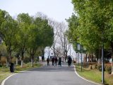 Des gens visitent le parc national de zones humides du lac Houguan dans la cité de démonstration écologique sino-française à Wuhan