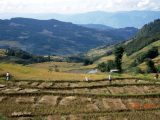 Pérégrination dans le Yunnan septembre 2012