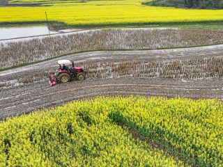 Un agriculteur laboure un champ du village de Hongtudi
