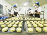 Des employées préparent des gâteaux de lune dans un atelier d'une entreprise alimentaire du district de Yutian de la ville de Tangshan