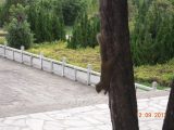 Pérégrination dans le Yunnan septembre 2012