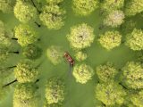 Photo aérienne de touristes faisant une excursion en bateau dans le parc de la zone humide du lac Luyang