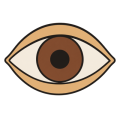 Flat drawing of an eye seen from the front, wide open: almond-shaped sand-coloured lids outlined in black, an ivory white, a large plain brown iris and a round black pupil at the centre. No lashes, no eyebrow, no face.