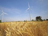 Une moissonneuse récolte du blé dans les champs du bourg de Shannantou du district deTancheng