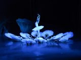 Le Ballet de Shanghai présente "Le Lac des cygnes" à La Haye