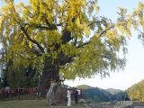 Des gens visitent le parc forestier national de Meiling