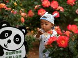 Un enfant dans un parc dans l'arrondissement de Chang'an de la ville de Shijiazhuang