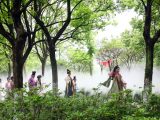Des touristes portant des costumes traditionnels Hanfu visitent le jardin botanique de la ville de Jiaxing