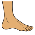Flat drawing of a bare foot seen in profile, facing right, sand-coloured: the ankle, the heel, the arch and five toes. The leg is cut off by the top edge of the picture.