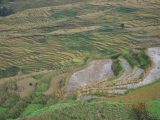 Pérégrination dans le Yunnan septembre 2012