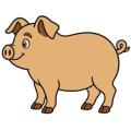 Flat drawing of a pig standing in profile, facing left: a plump sand-coloured body, a round snout with two nostrils, floppy ears, brown trotters and a small curly tail.