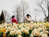 Deux visiteuses prennent des photos dans le Jardin botanique de Chenshan