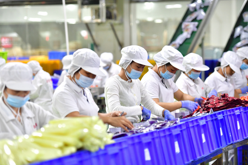 Des travailleurs emballent des nouilles de riz Luosifen dans une entreprise agroalimentaire à Liuzhou