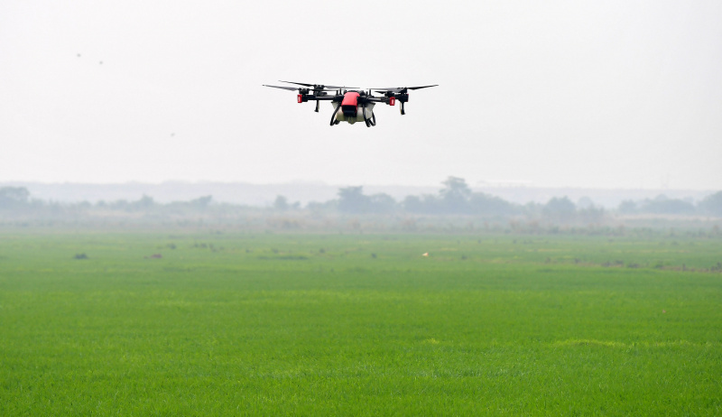 Un drone pulvérisant des pesticides sur une rizière dans le district de Nanchang