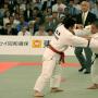 Sports et arts-martiaux japonais