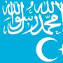 Mouvement islamique du Turkestan oriental