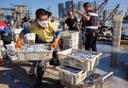 (miniature) Un poissonnier pèse ses achats au port de pêche de Jimiya dans la nouvelle zone de Xihai'an (côte ouest) à Qingdao
