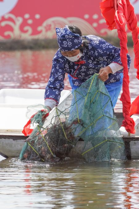 (miniature) Une travailleuse pêche des écrevisses lors d'un événement célébrant la saison de récolte des écrevisses dans le district de Xuyi