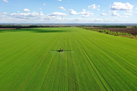 (miniature) Photo prise le 27 mai 2021 montrant un pulv&eacute;risateur automoteur en action sur une ferme &agrave; Heihe