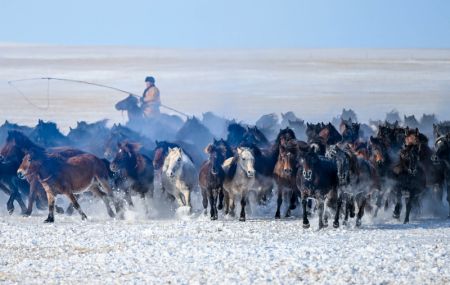 (miniature) Un gardien de troupeaux dompte des chevaux sur une prairie enneigée dans la bannière d'Ujimqin est de la ligue de Xilingol