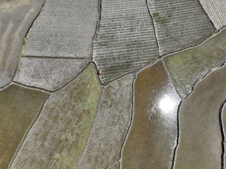 (miniature) Photo a&eacute;rienne d'un agriculteur travaillant dans les champs