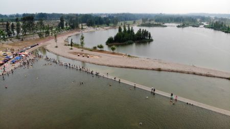 (miniature) Photo aérienne de visiteurs dans une zone écologique de la phase III du projet de restauration de la rivière Hutuo