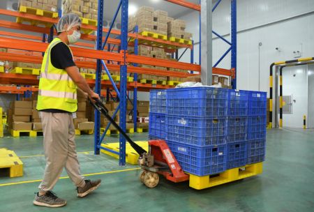 (miniature) Un membre du personnel transf&egrave;re des l&eacute;gumes dans une station d'entreposage pour transfert et de transport de l&eacute;gumes et fruits pour Beijing