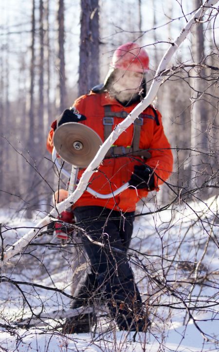 (miniature) Un ouvrier forestier coupe le bois malade et pourri dans l'arrondissement de Huzhong &agrave; Dahinggan