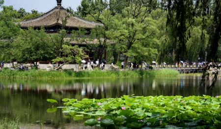 (miniature) Des visiteurs apprécient des fleurs de lotus en pleine floraison dans le parc Yuanmingyuan à Beijing